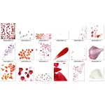 237 high-definition petal PNG transparent resources, a must-have for design